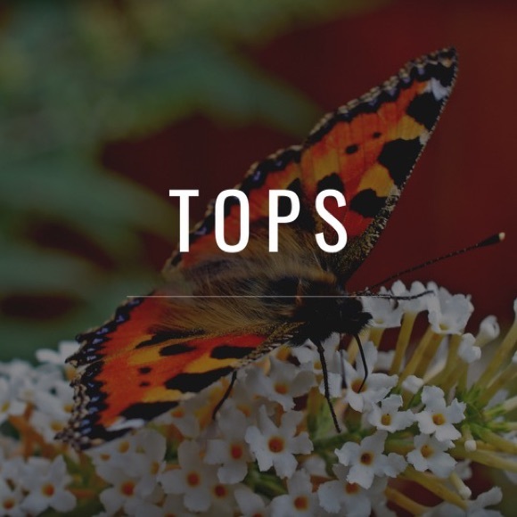 Tops - 🎽❤️Offers Accepted